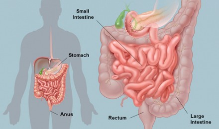 Information about Colonic Irrigation